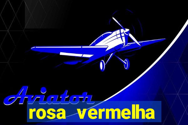 rosa vermelha (letra e cifra)